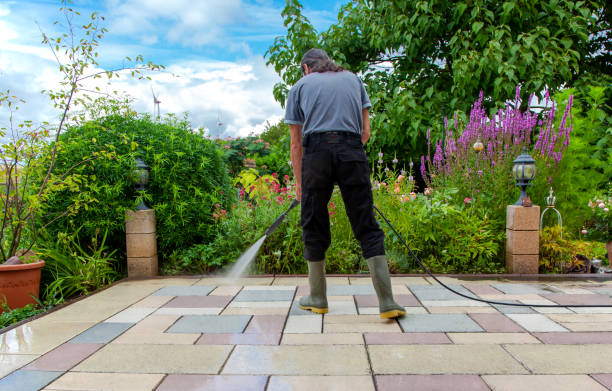 Best Animal Enclosure Cleaning  in Woodburn, OR